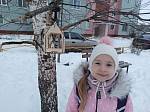 «Синичкин день»
